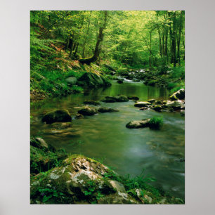 Poster États-Unis, Tennessee, Grandes Montagnes fumées