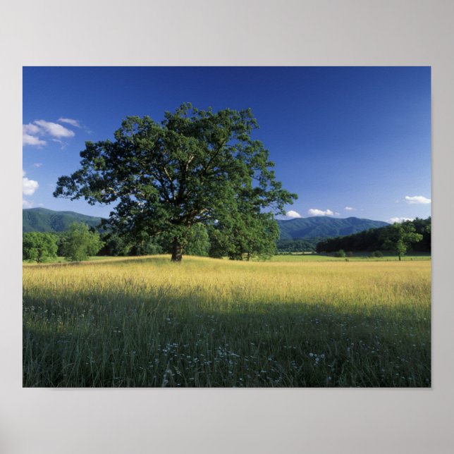 Poster États-Unis, Tennessee. Grandes montagnes fumées 2 (Devant)