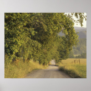Poster États-Unis, Tennessee, Great Smoky Mountains Natio