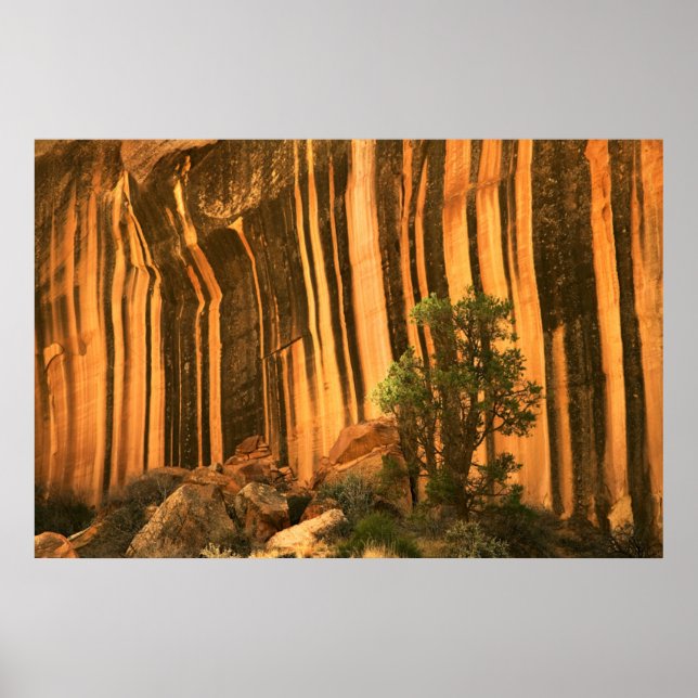 Poster États-Unis, Utah, Parc national du récif du Capito (Devant)