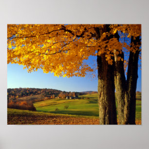 Poster États-Unis, Vermont. Paysage agricole près de Sout