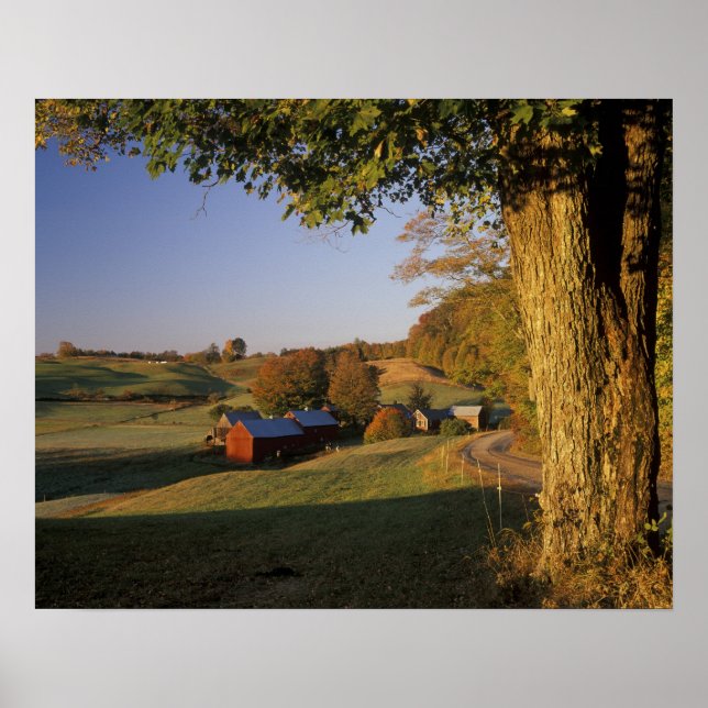 Poster États-Unis, Vermont, sud Woodstock, Jenne Farm à (Devant)