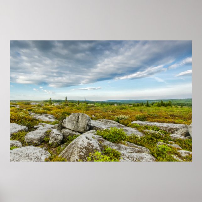 Poster États-Unis, Virginie occidentale, Davis. Landscape (Devant)