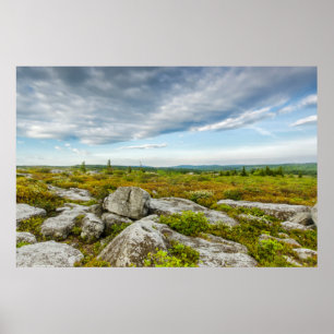 Poster États-Unis, Virginie-Occidentale, Davis. Paysage à