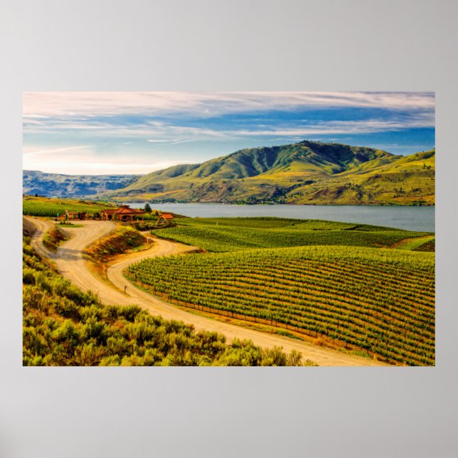 Poster États-Unis, Washington, Lac Chelan. Les vignobles  (Devant)