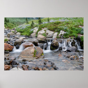 Poster États-Unis, Washington, Parc national du mont Rain