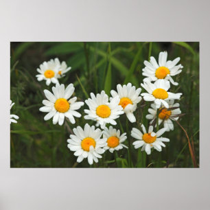 Poster États-Unis, Washington, Seattle, Puget Sound 3