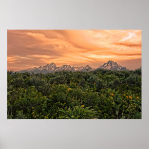 Poster États-Unis, Wyoming, Parc national de Grand Teton