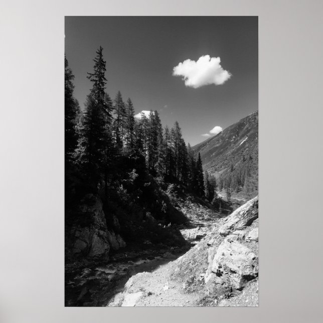 Poster Été en Suisse Photographie noir et blanc (Devant)