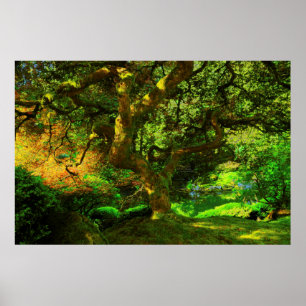 Poster Été, jardin japonais de Portland, Portland