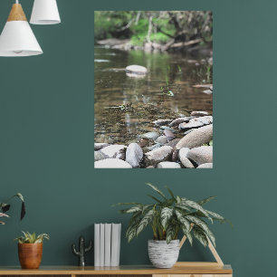 Poster Eté Stream Photo Calme Paysage