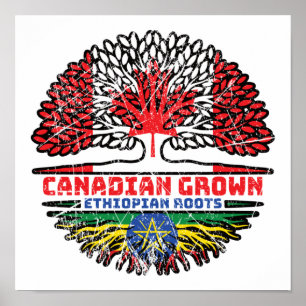 Poster Ethiopie Canada drapeau des racines de l'arbre du 