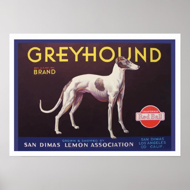 Poster Étiquette de crème fruitée Greyhound (Devant)