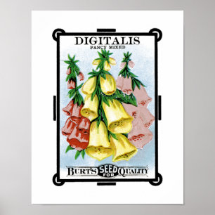Poster Étiquette de paquet de graine de digitale
