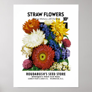 Poster Étiquette de paquet de graine de fleurs de paille