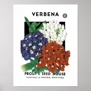 Poster Étiquette de paquet de graine de verveine