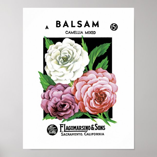 Poster Étiquette de paquets de semences Balsam (Devant)