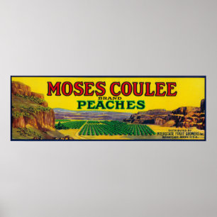 Poster Étiquette de pêche de Moïse Coulee