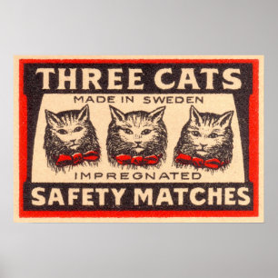 Poster Étiquette de trois de chats matchs de sécurité