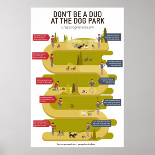 Poster Etiquette du parc de chiens 101 Infographie