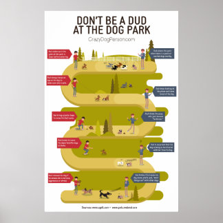 Poster Etiquette du parc de chiens 101 Infographie