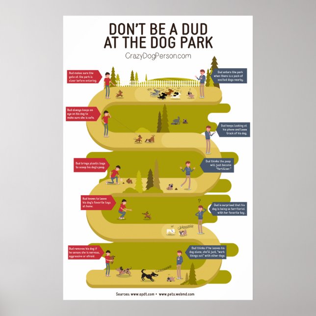 Poster Etiquette du parc de chiens 101 Infographie (Devant)