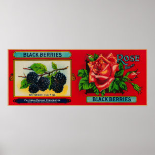 Poster Étiquette rose Blackberry