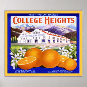 Poster Étiquette vintage Fruit