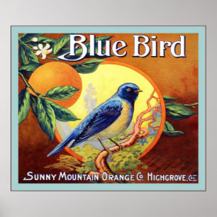 Poster Étiquette vintage Fruit