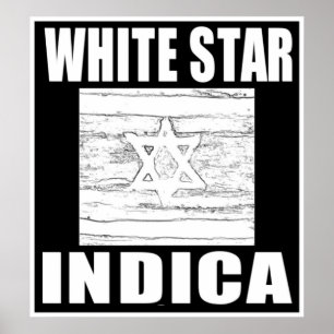 POSTER ÉTOILE BLANCHE INDICA