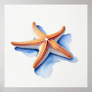 Poster Étoile de mer et silhouette bleue