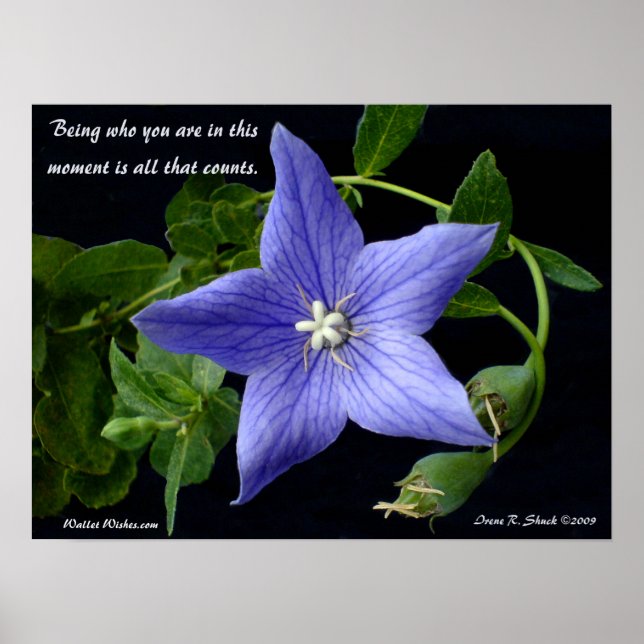 Poster Être qui tu es. (Devant)