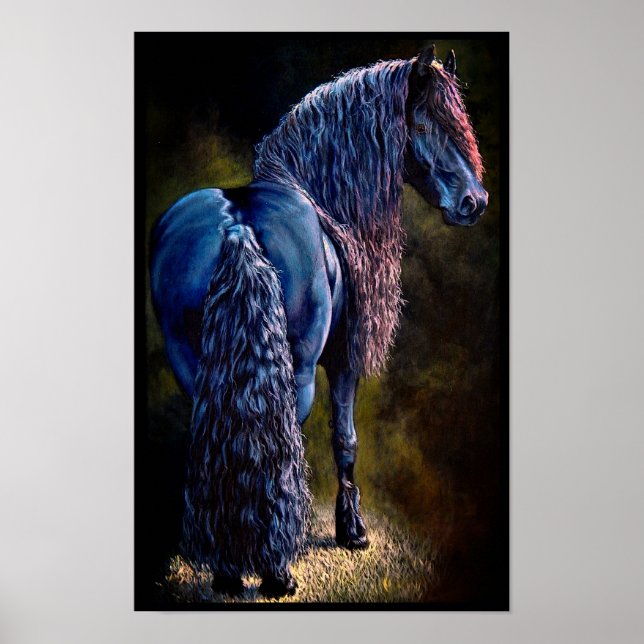 Poster Étrier à étalon friésien, projecteur/peinture/filt (Devant)