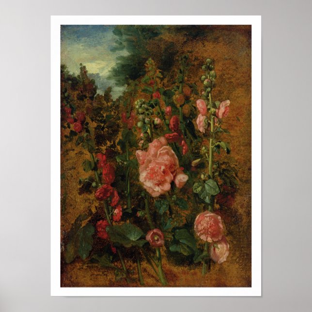 Poster Étude de Hollyhocks, c.1826 (huile à bord) (Devant)