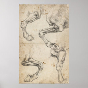 Poster Étude de Leonardo pour des jambes de cheval