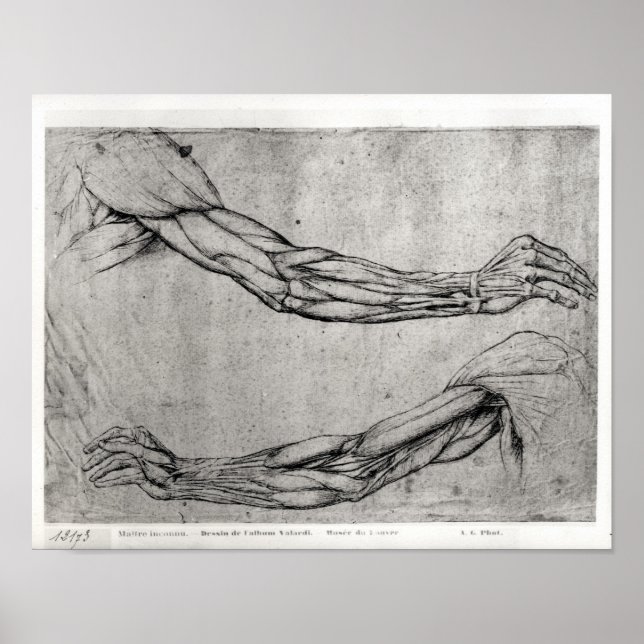 Poster Étude des armes (Devant)