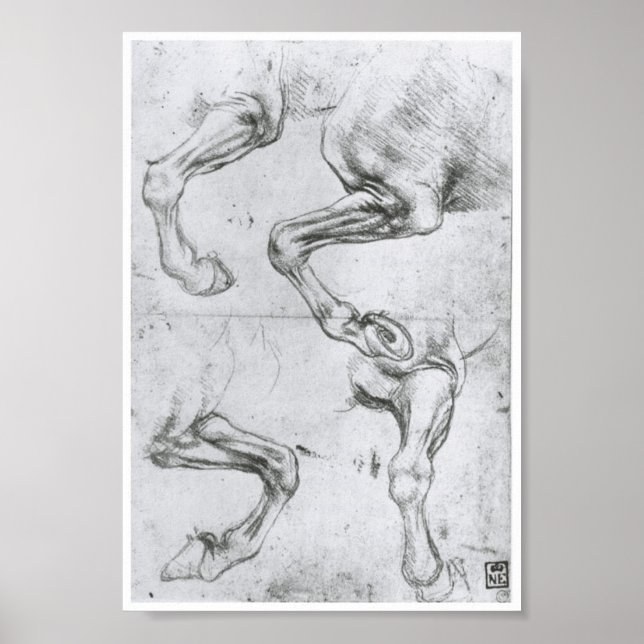 Poster Étude des jambes d'un cheval, Léonard de Vinci (Devant)