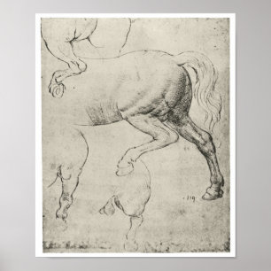 Poster Étude des quartiers arrière d'un cheval, Da Vinci