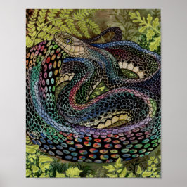 Poster Étude du serpent jardinier au-delà de la peau