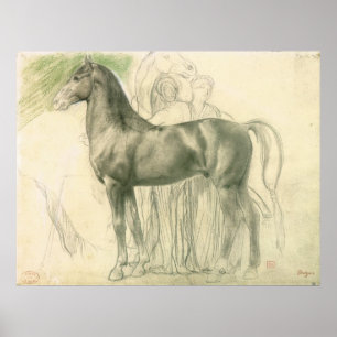 Poster Étude d'un cheval avec des chiffres