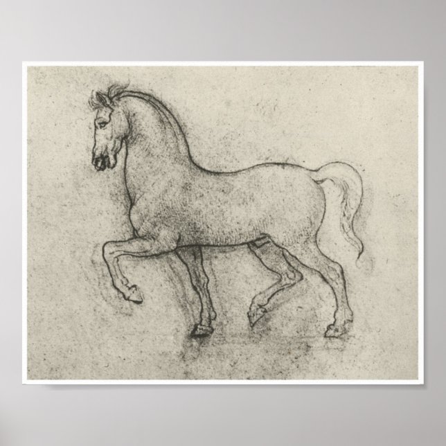 Poster Étude d'un cheval, Léonard de Vinci (Devant)