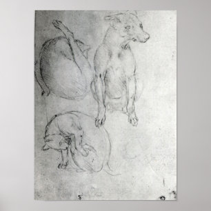 Poster Étude d'un chien et d'un chat, c.1480