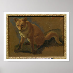 Poster Étude d'un renard (huile sur panneau)