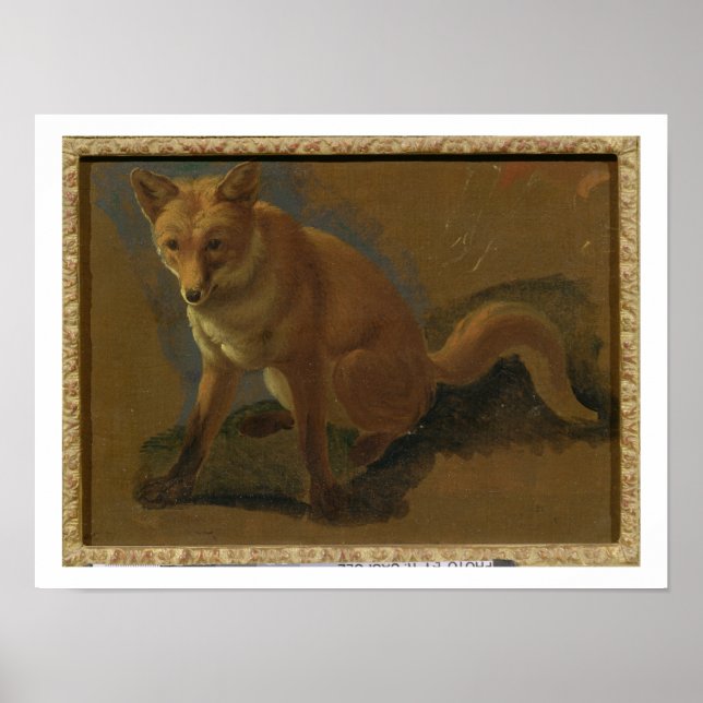 Poster Étude d'un renard (huile sur panneau) (Devant)