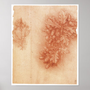 Poster Étude pour la peinture perdue, Léda, da Vinci