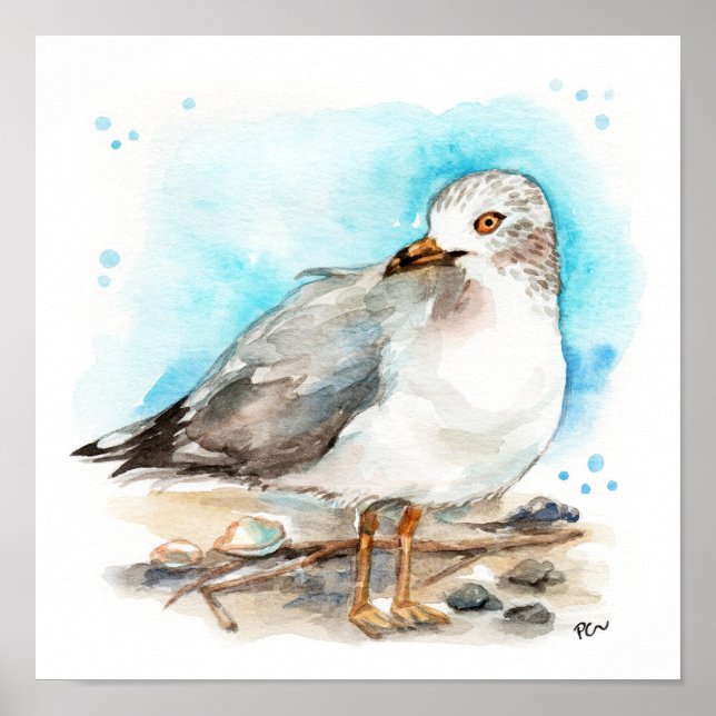 Poster Étude sur le goéland 2 (Devant)