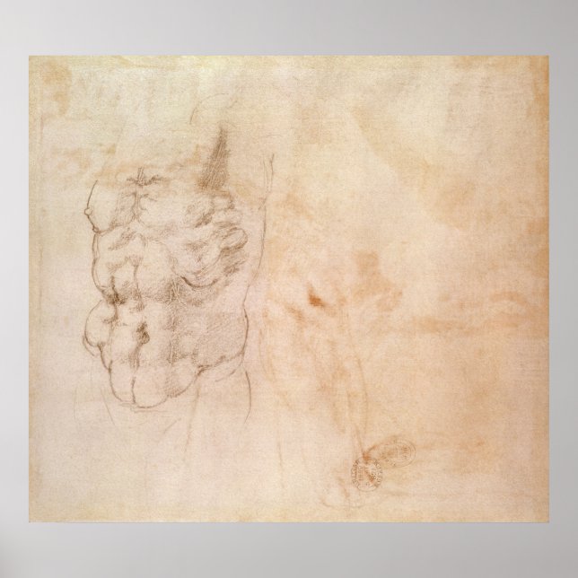 Poster Étude Torso (Devant)