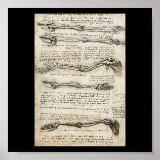Poster Études du bras par Leonardo Da Vinci c. 1510