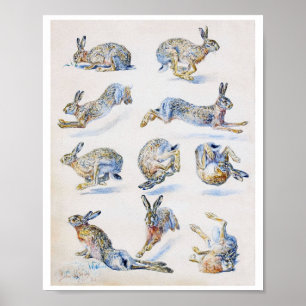 Poster Études sur le lièvre sauvage (lapin), Bruno Liljef