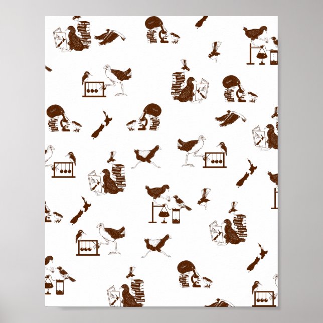 Poster Étudiants en science des oiseaux de Nouvelle-Zélan (Devant)